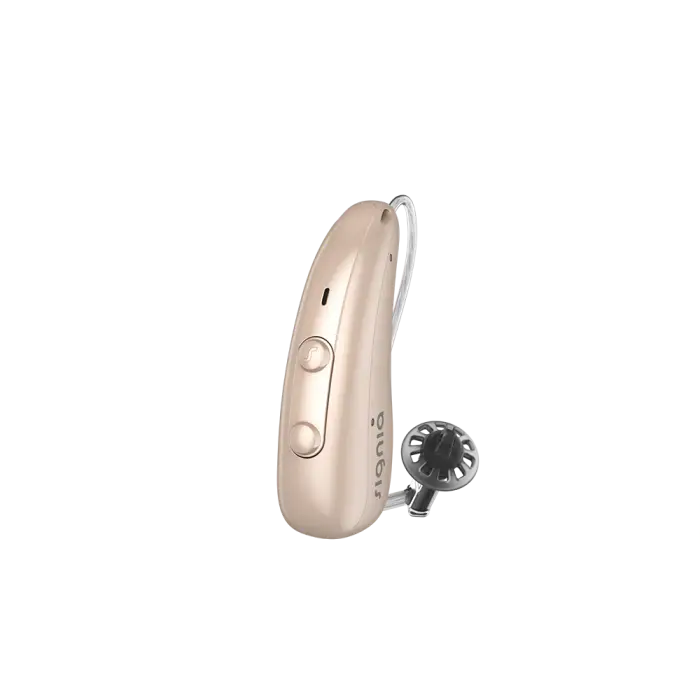 Signia Pure Charge&Go IX